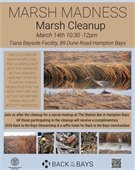 Marsh Madness Beach Cleanup