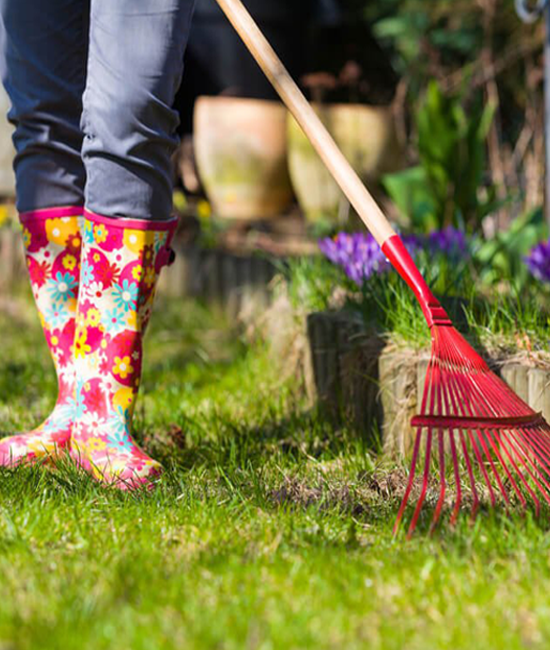 Leaf Pickup, cropped image of someone racking