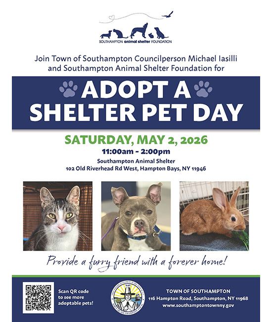 Adopt A Pet_flyer_550x650