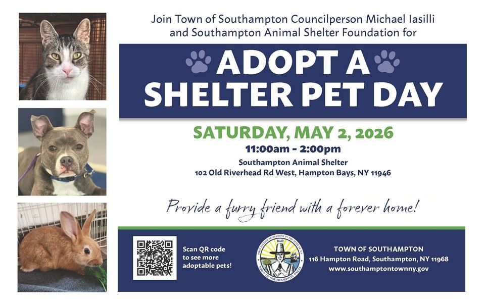 Adopt a Shelter Pet Day takes place on 2 May 2026 